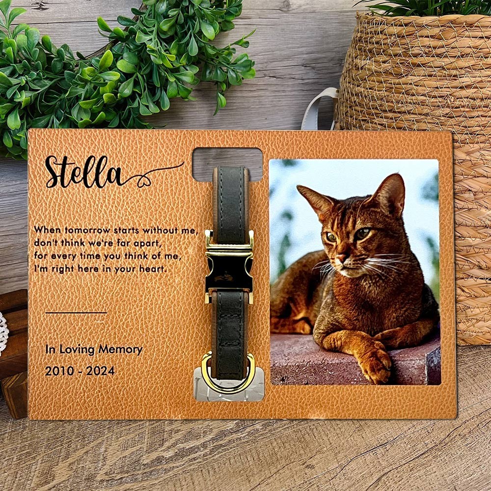 Memorial Pet Collar Frame with Photo Personalized Keepsake Gifts for Pet Lover