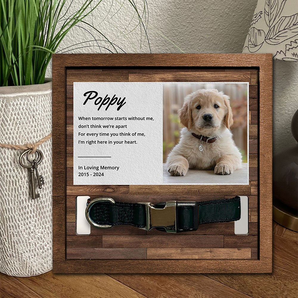 Personalized Memorial Pet Collar Wood Frame with Photo Keepsake Gifts for Pet Lover